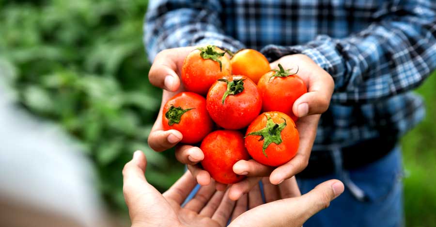 About WPTC The World Processing Tomato Council. International non-profit making organization representing the tomato processing industry worldwide.